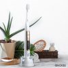 Ionickiss Ionpa Home ionic toothbrush  (Japan)