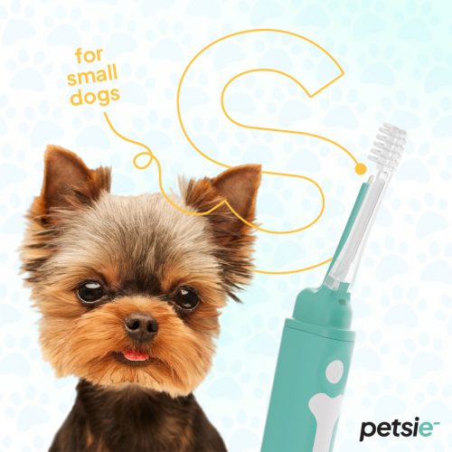 Petsie toothbrush for dogs ( S size -10kg)